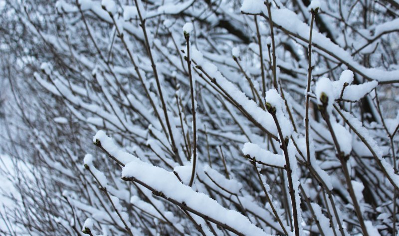 冰岛会下雪吗，冬天去哪里玩冰岛好玩不