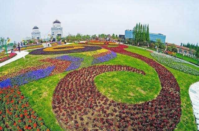 扬州油菜花观赏最佳地点，今年扬州清明去哪里玩好