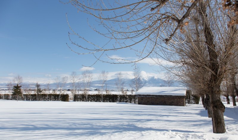 绵阳玩雪的地方，涪城冬天去哪里玩