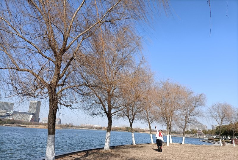 南京冬季旅游必去十大景点,南京冬季带宝宝去哪里玩