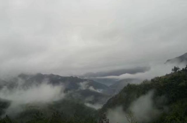 请问在温州哪个区的旅馆住宿比较便宜呢,去温州玩适合住哪里