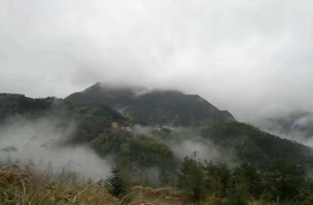 请问在温州哪个区的旅馆住宿比较便宜呢,去温州玩适合住哪里