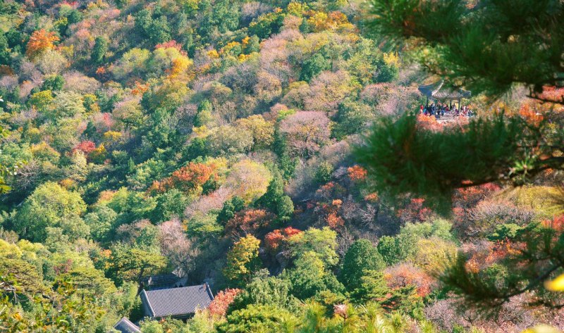 北京海淀去哪玩便宜又好玩_海淀黑山扈古树园、门票多钱一张