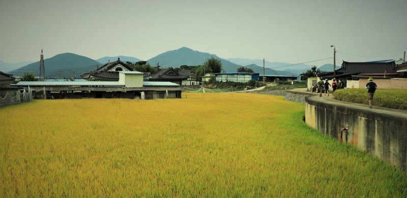 8月初长沙最近下雨去旅游合适吗,长沙天气去哪里玩