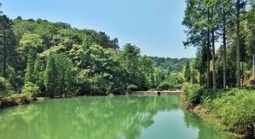 长沙一日游必去十大地，长沙最好去哪里玩