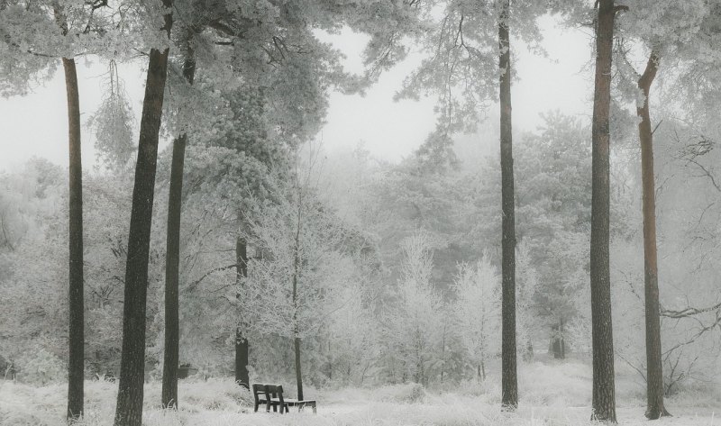 艾尔登法环雪地怎么去，包头冬天去哪里玩