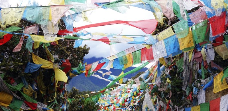 重庆过生日，哪里有免单的自助餐_重庆三八节旅游必去景点