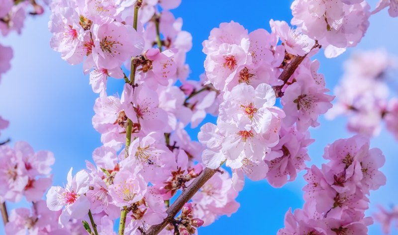 揭阳春节游玩攻略_揭西烟花秀最佳观赏点