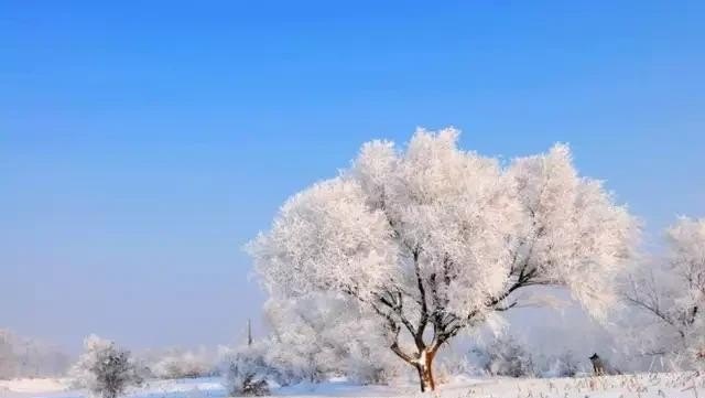 新疆冬天自驾开什么车,冬天去新疆哪里玩好点