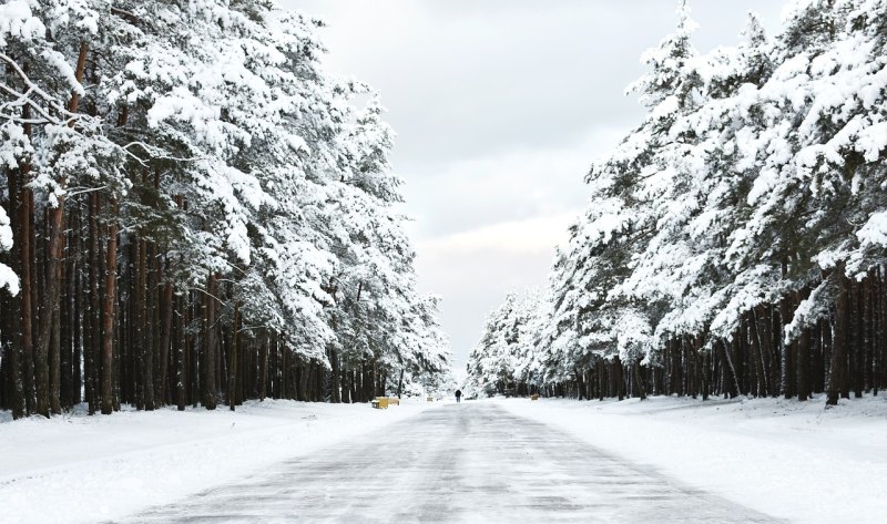 冬天东北适合旅游的地方,东北冰雪去哪里玩