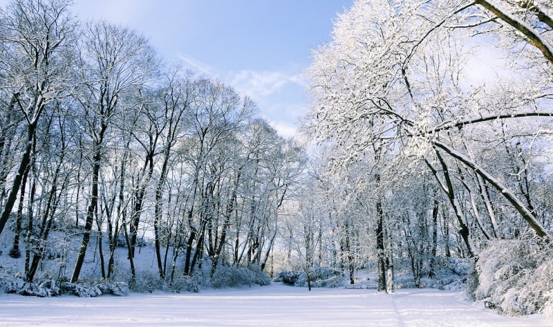 沈阳下雪去哪里看景_沈阳拍雪照的地方