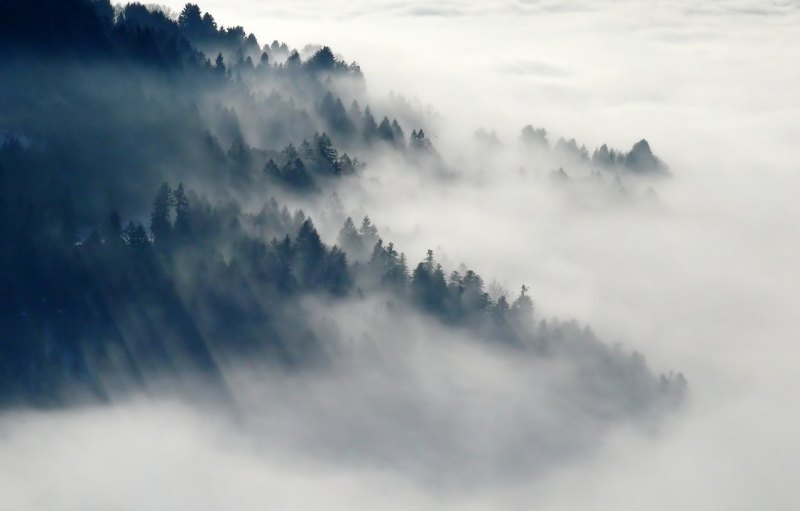 描写秋天的诗句80字,长沙落雨去哪里玩最好