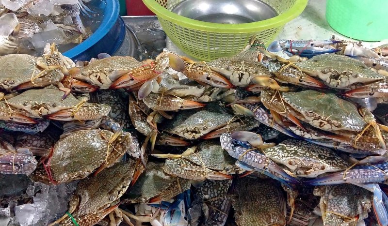 黄岛区东方海景附近有吃饭的地方吗，海城美食推荐店铺地址在哪里呀多少钱一个