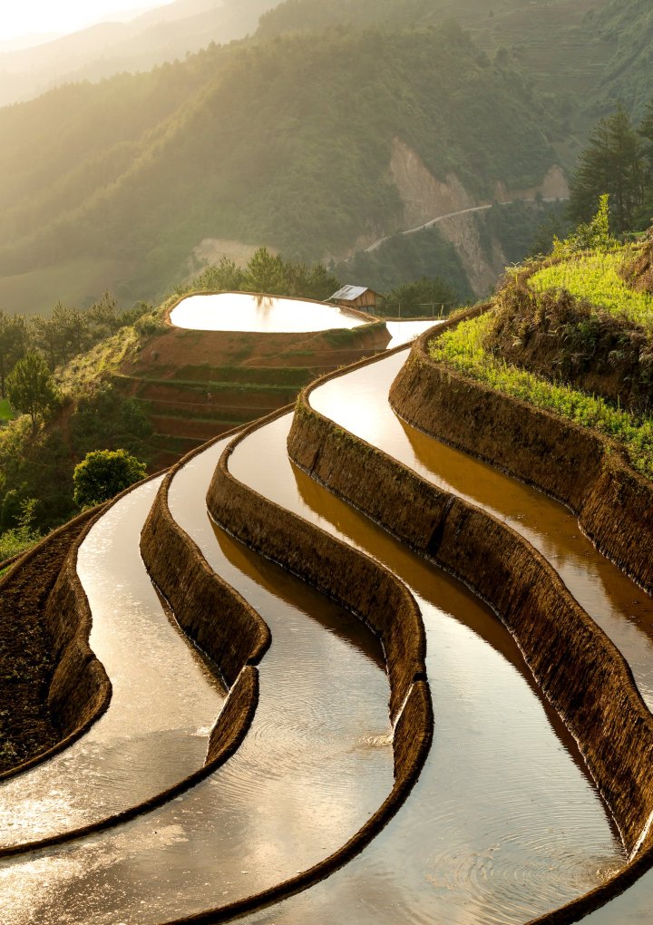 重庆端午节3天去哪里旅游最好,今年端午重庆去哪里玩