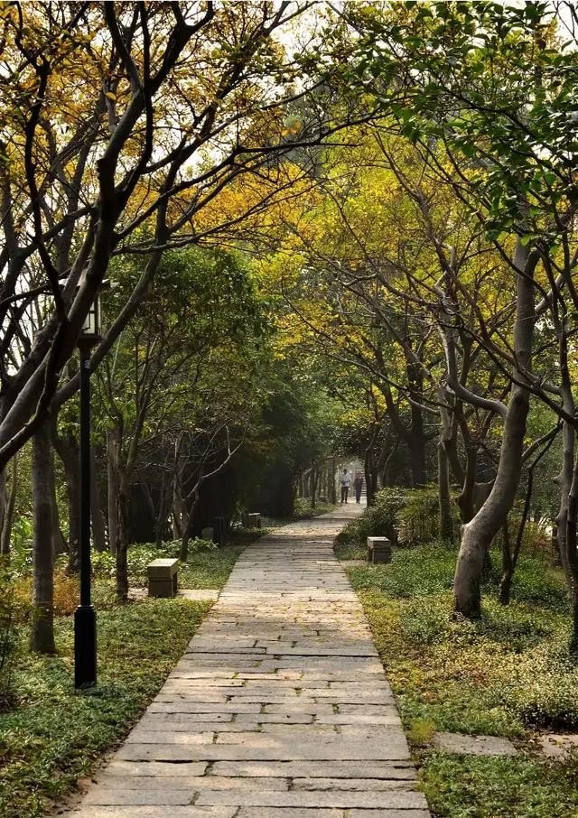 徐州东站附近哪里的小吃好吃,杭州东站美食推荐餐厅有哪些店